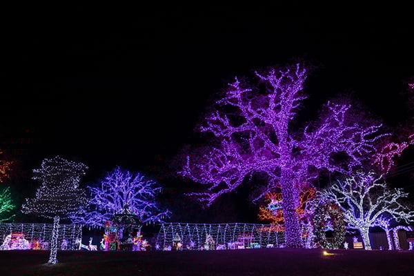 daystar-christmas-8