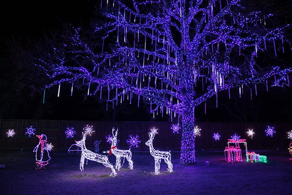 daystar-christmas-9