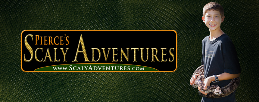 Scaly Adventures | Daystar Television Network